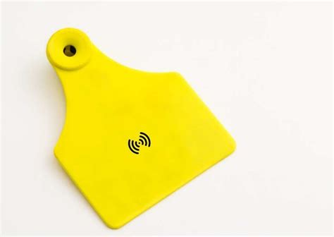 rfid tag for animals|rfid livestock tracking.